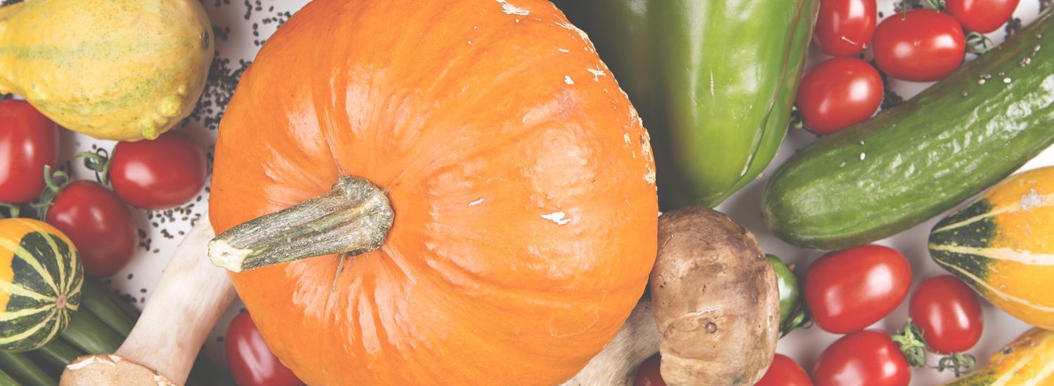 Themenbild von Ernährungsmedizin