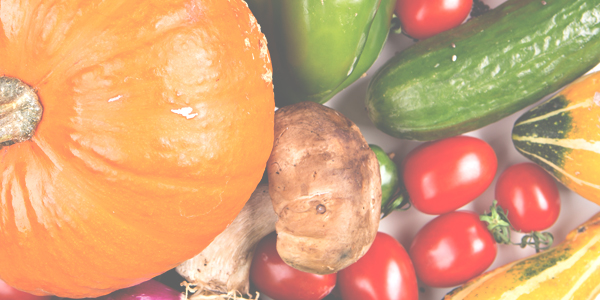 Teaserbild für Ernährungsmedizin